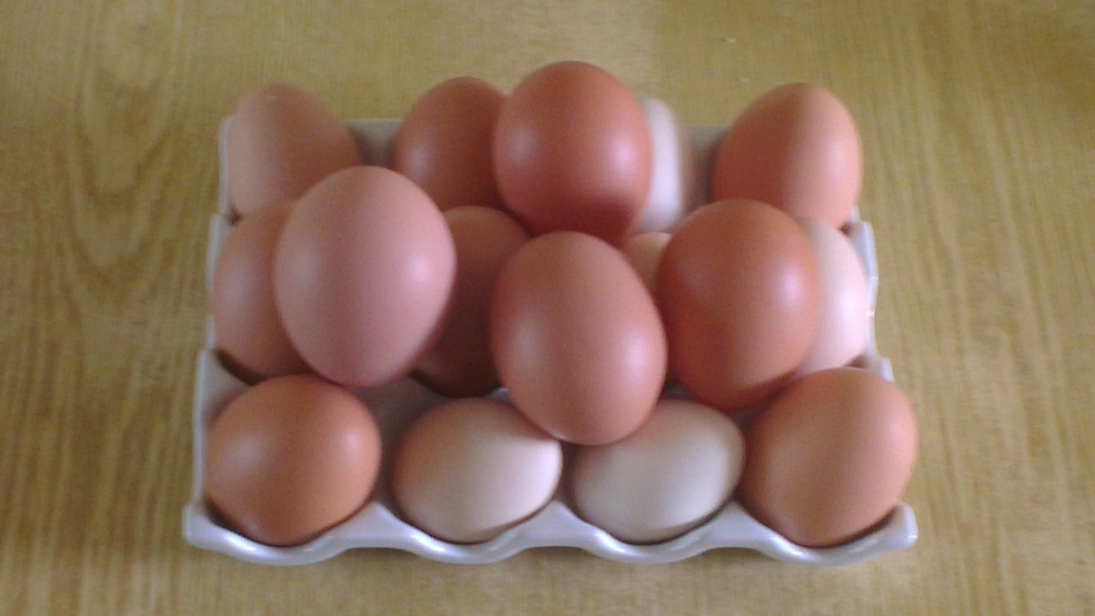 Collection of our fresh eggs